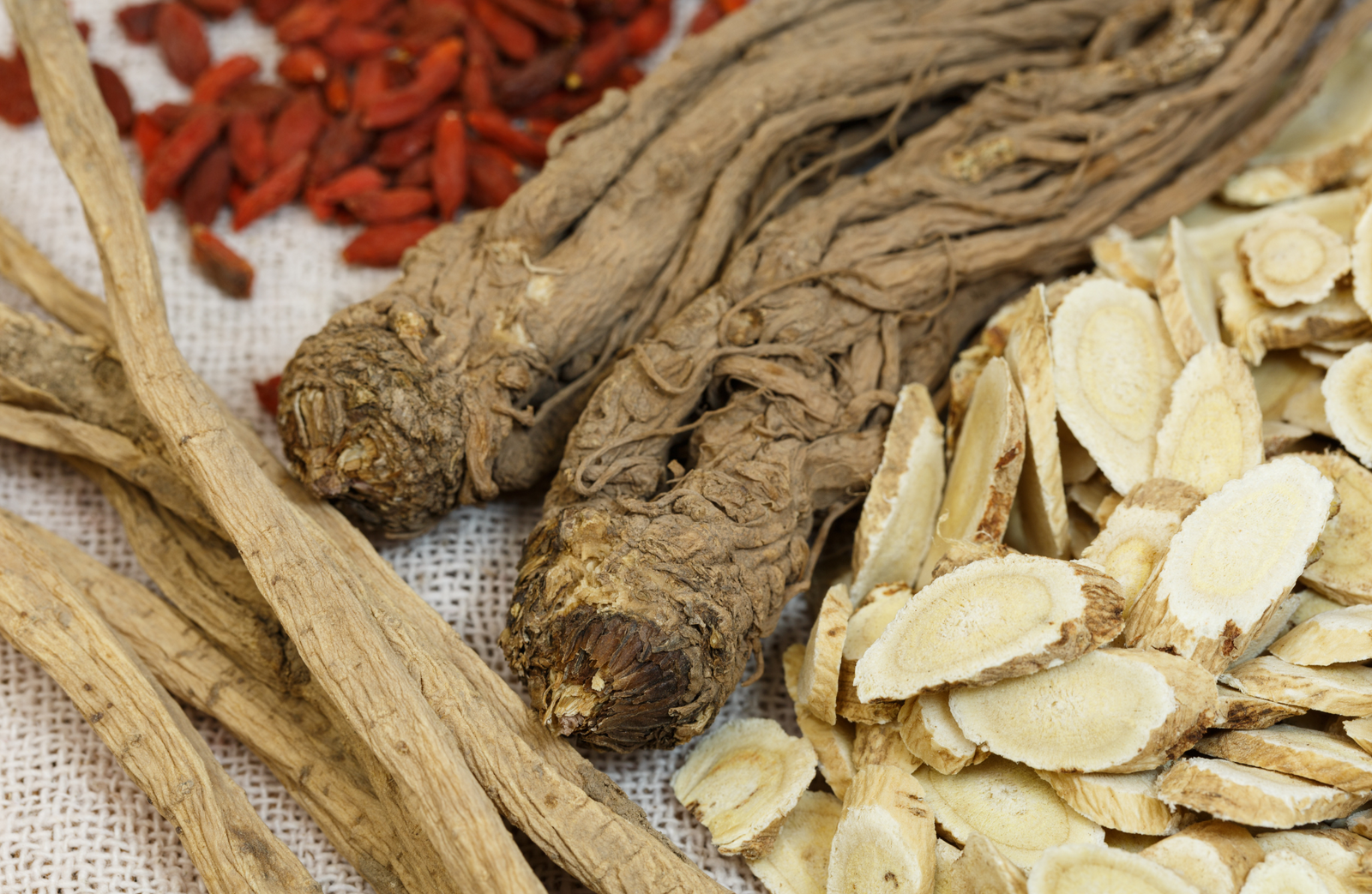 Healing Potential of Astragalus membranaceus root