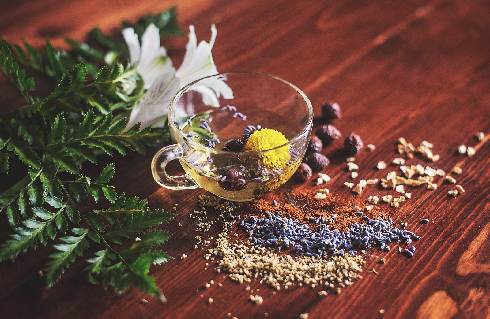 Botanical Extracts Hold Profound Healing Potential