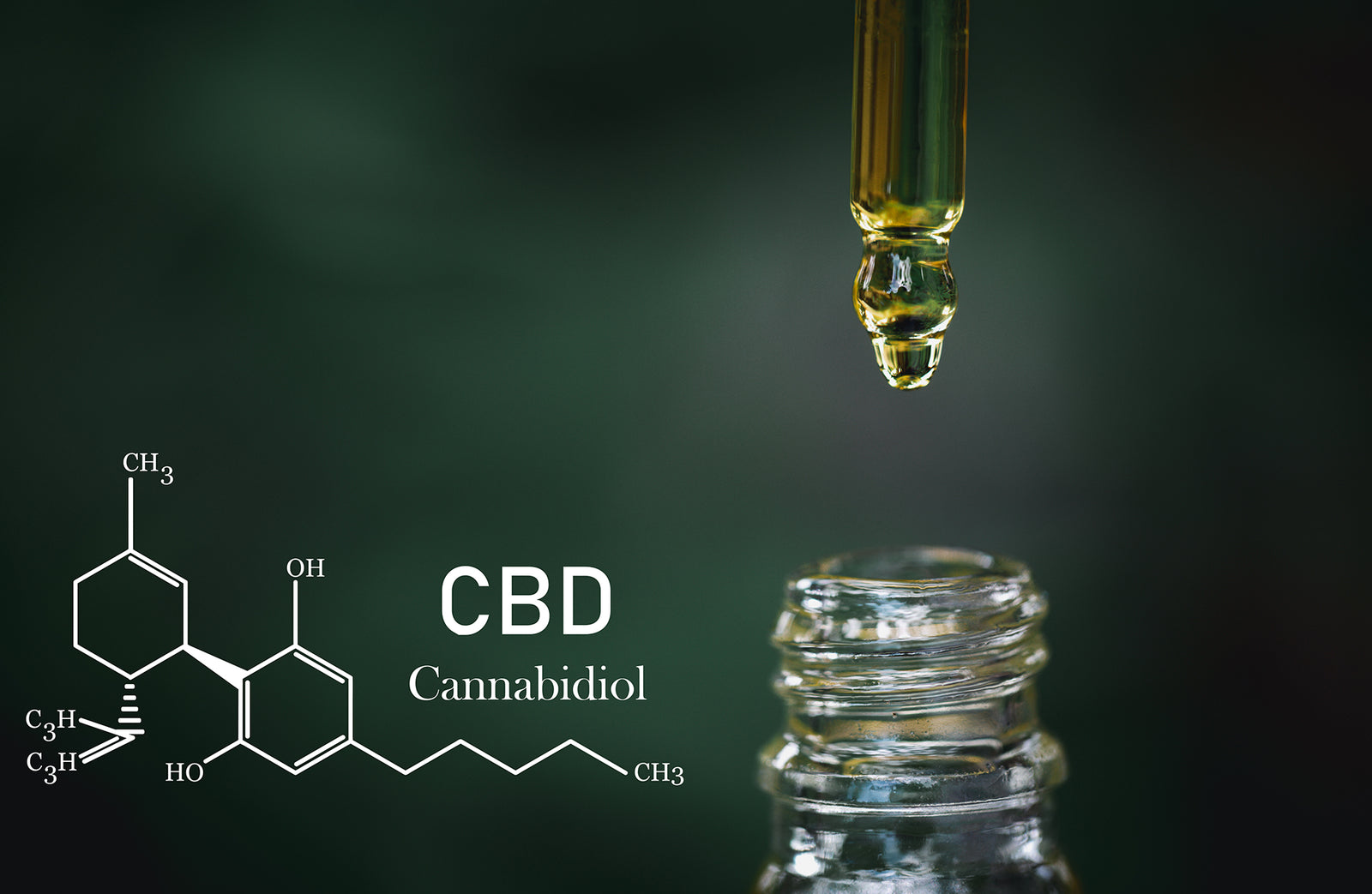 Choose the Best Hemp Based Products & Recognize What Works