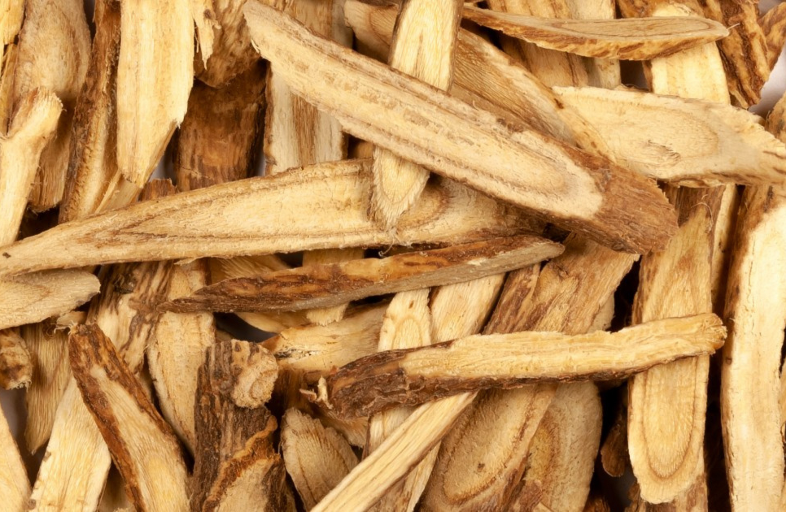 Healing Potential of Glycyrrhiza uralensis Root