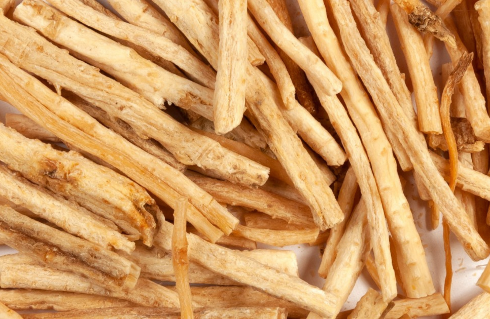 Healing Potential of Glehnia littoralis Root