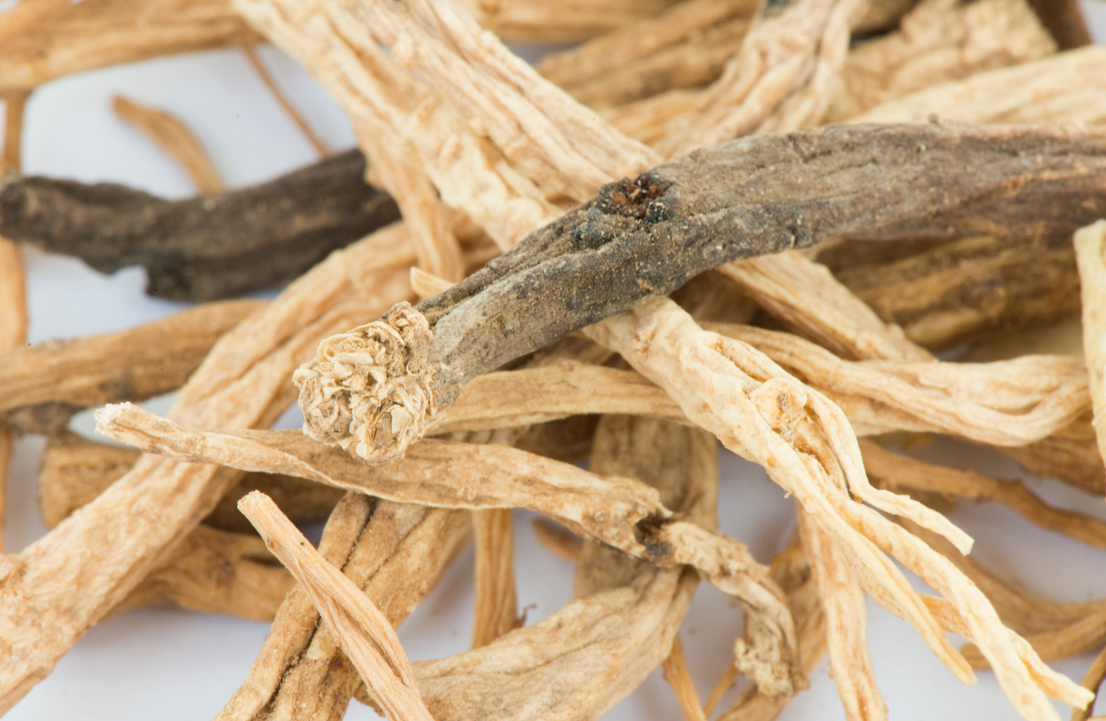 Healing Potential of Codonopsis pilosula Root