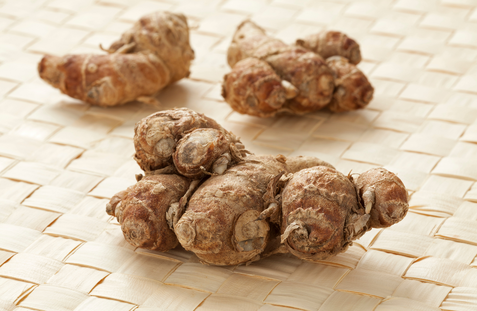 Healing Potential of Coptis chinensis Rhizome