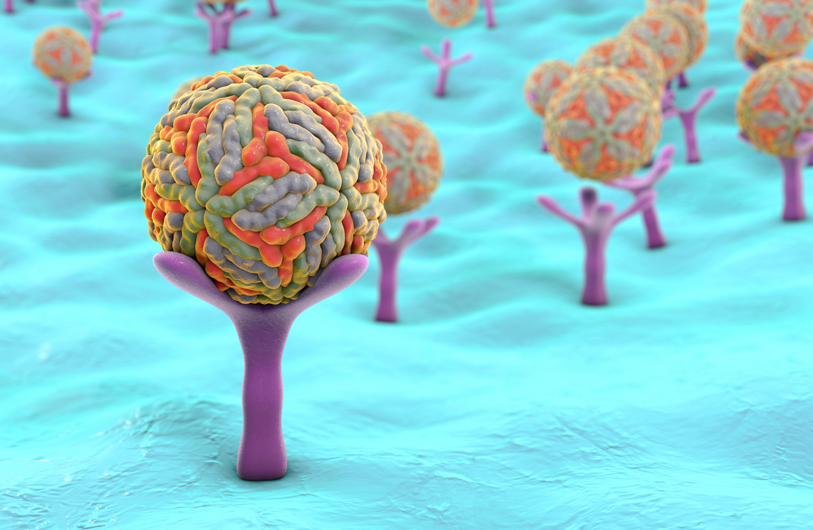 Unlocking the Secrets of Cellular Communication: The Role of Body Receptors