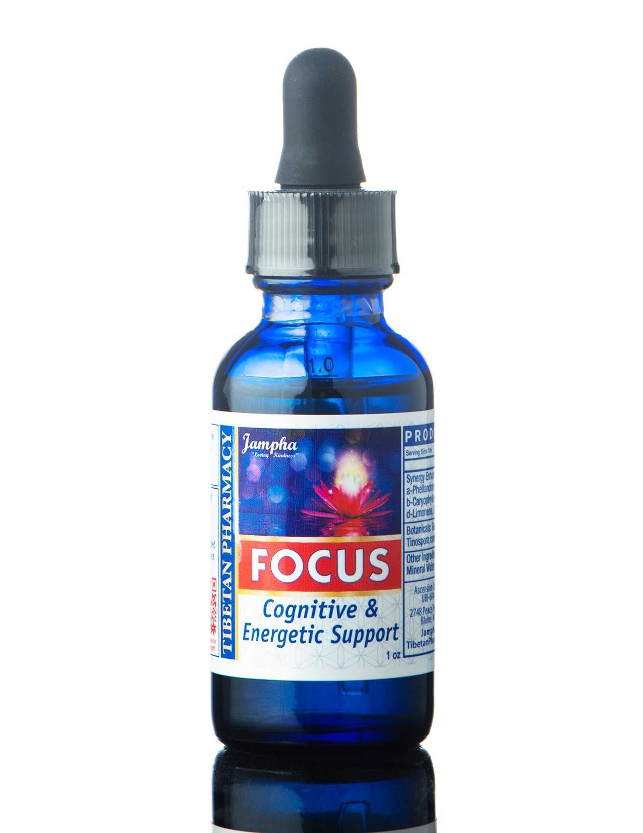 Focus SETI Brain Supplement by Jampha CBD, designed to improve cognitive function and enhance brain health.