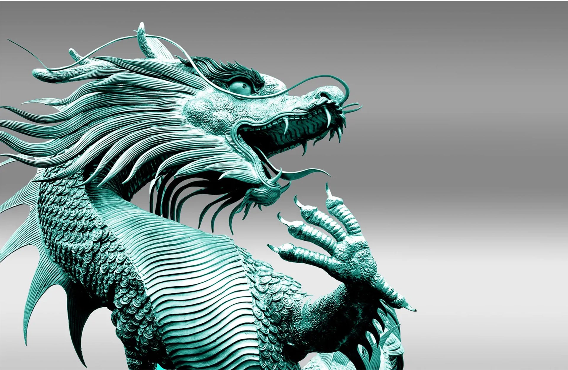 The Turquoise Dragon - Long Covid, Bacteria & Virus Fighter