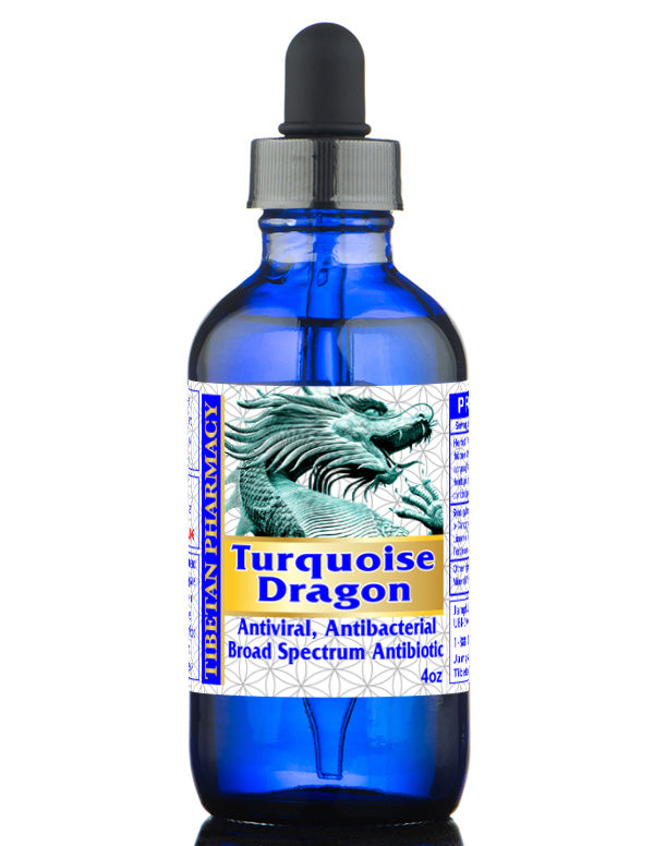 Turquoise Dragon | All-Natural Broad Spectrum Antibiotic and Antiviral