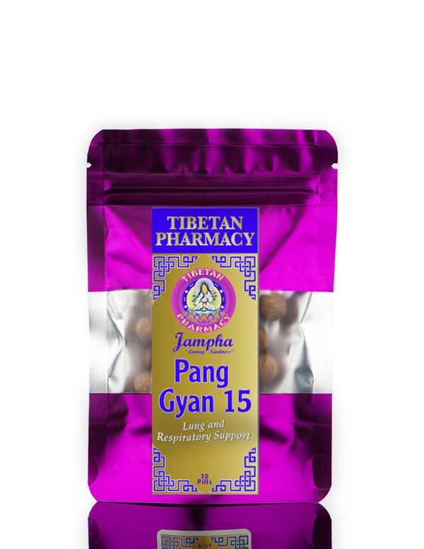 Pang Gyan 15 Respiratory Support Formula Tibetan pill in vibrant purple packaging, designed to promote clear breathing and lung health naturally.