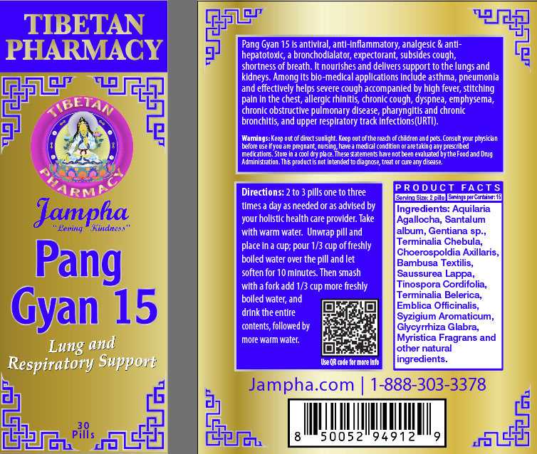 Pang Gyan 15 Respiratory Support Formula Tibetan pill in vibrant purple packaging, designed to promote clear breathing and lung health naturally.
