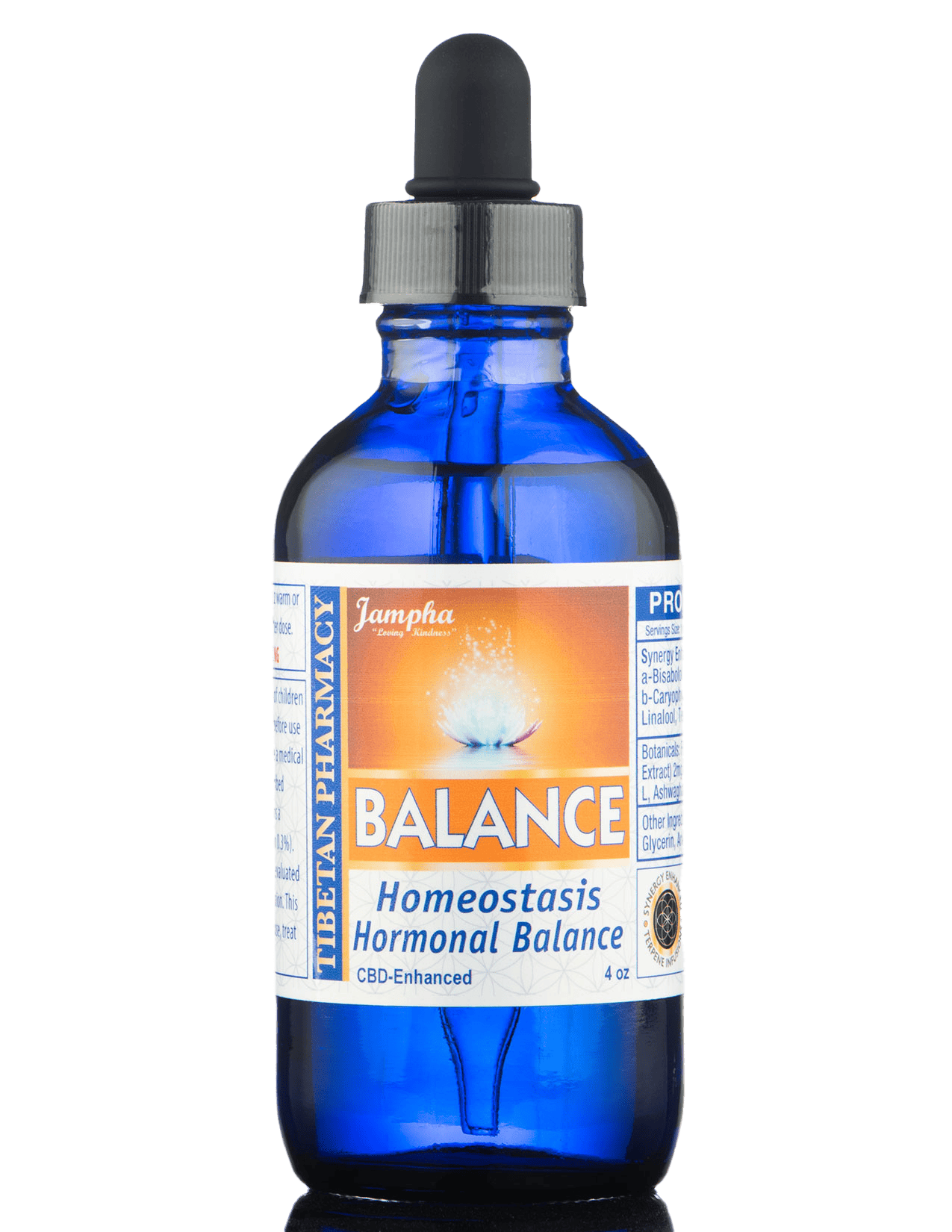 Balance SETI | Supports Homeostasis | CBD Enhanced