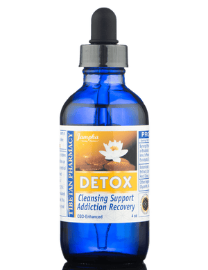 Detox SETI | Cellular Cleansing | CBD Enhanced