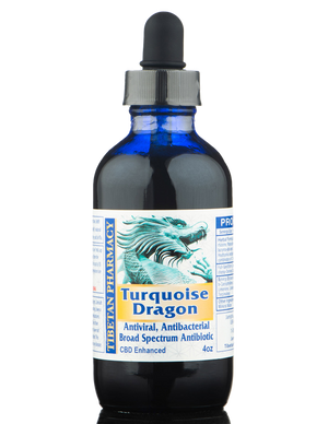 Turquoise Dragon | Potent All-Natural Antibiotic and Antiviral | CBD Enhanced