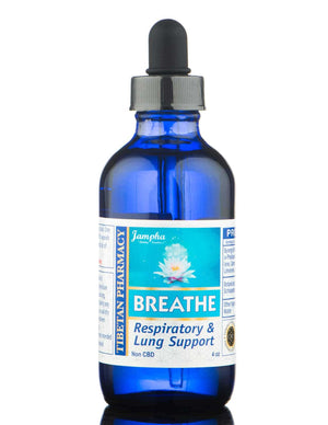 Breathe SETI | Lung Support