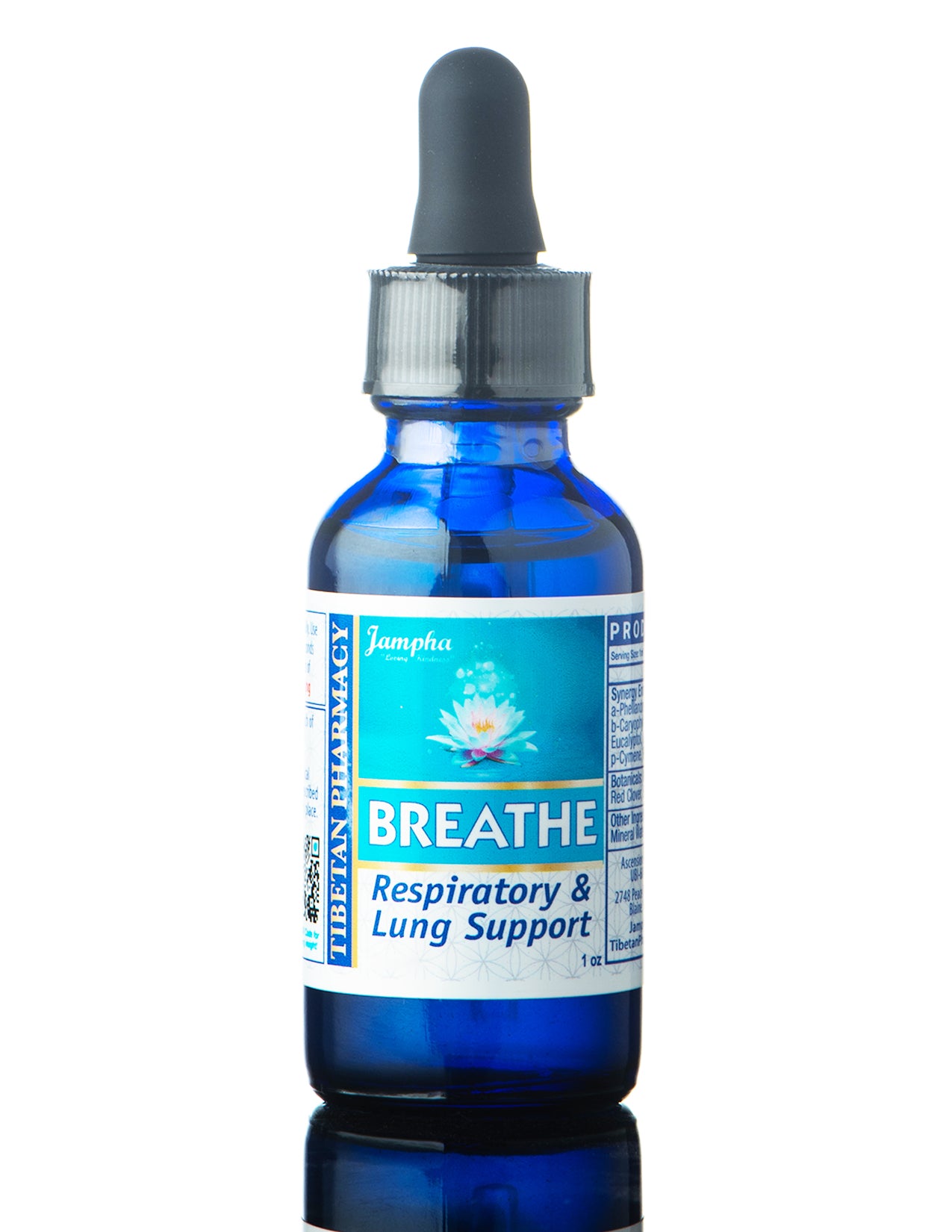 Breathe SETI | Lung Support